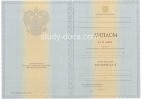 Диплом специалиста 2012-2013 в Димитровграде